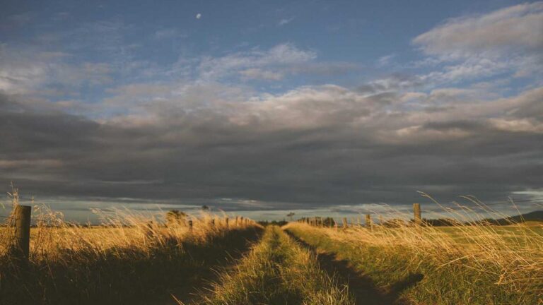 How To Create Your Own 99 Exch Id For Betting?